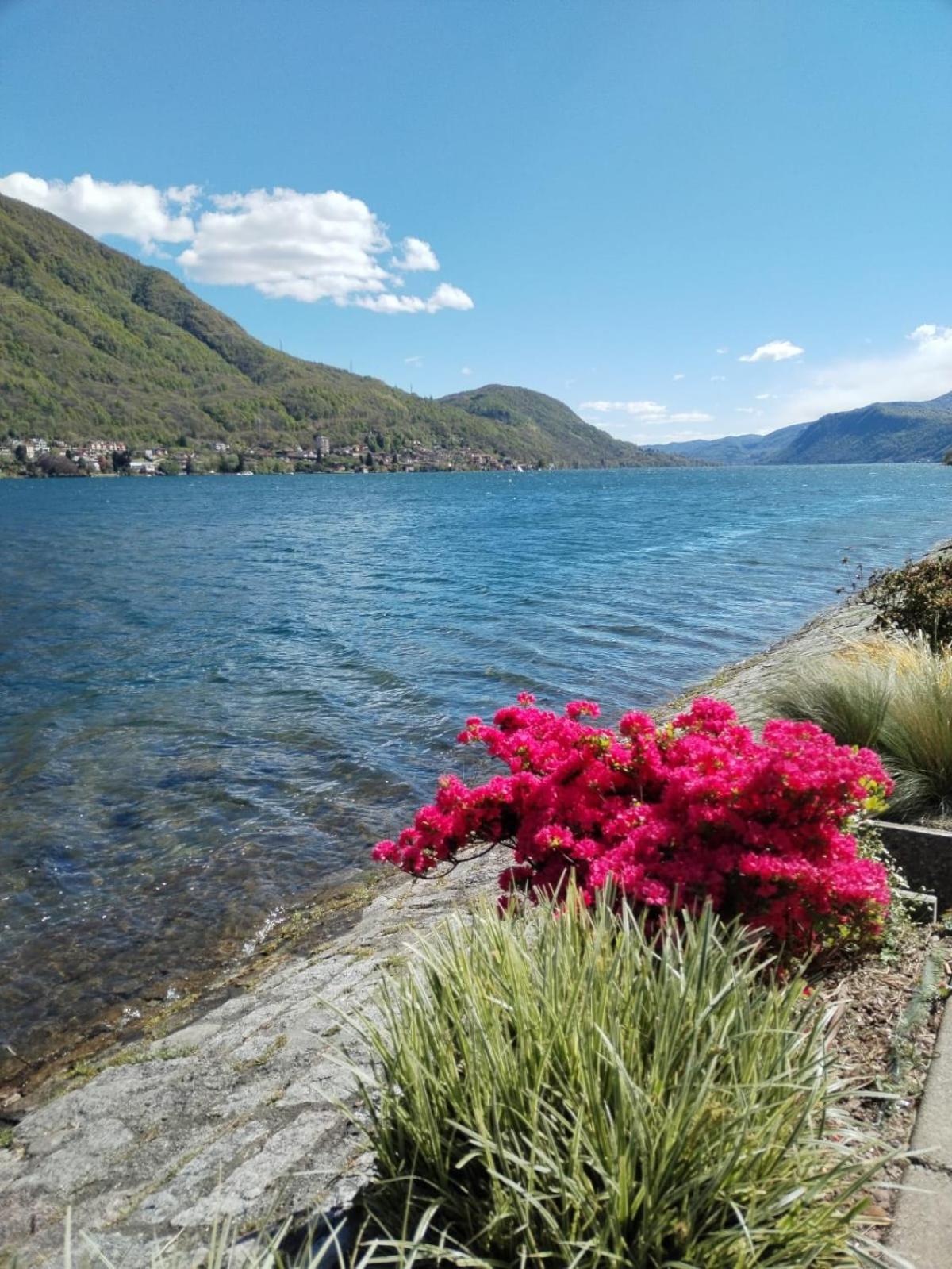 Un Balcone Sul Lago Omegna Dış mekan fotoğraf