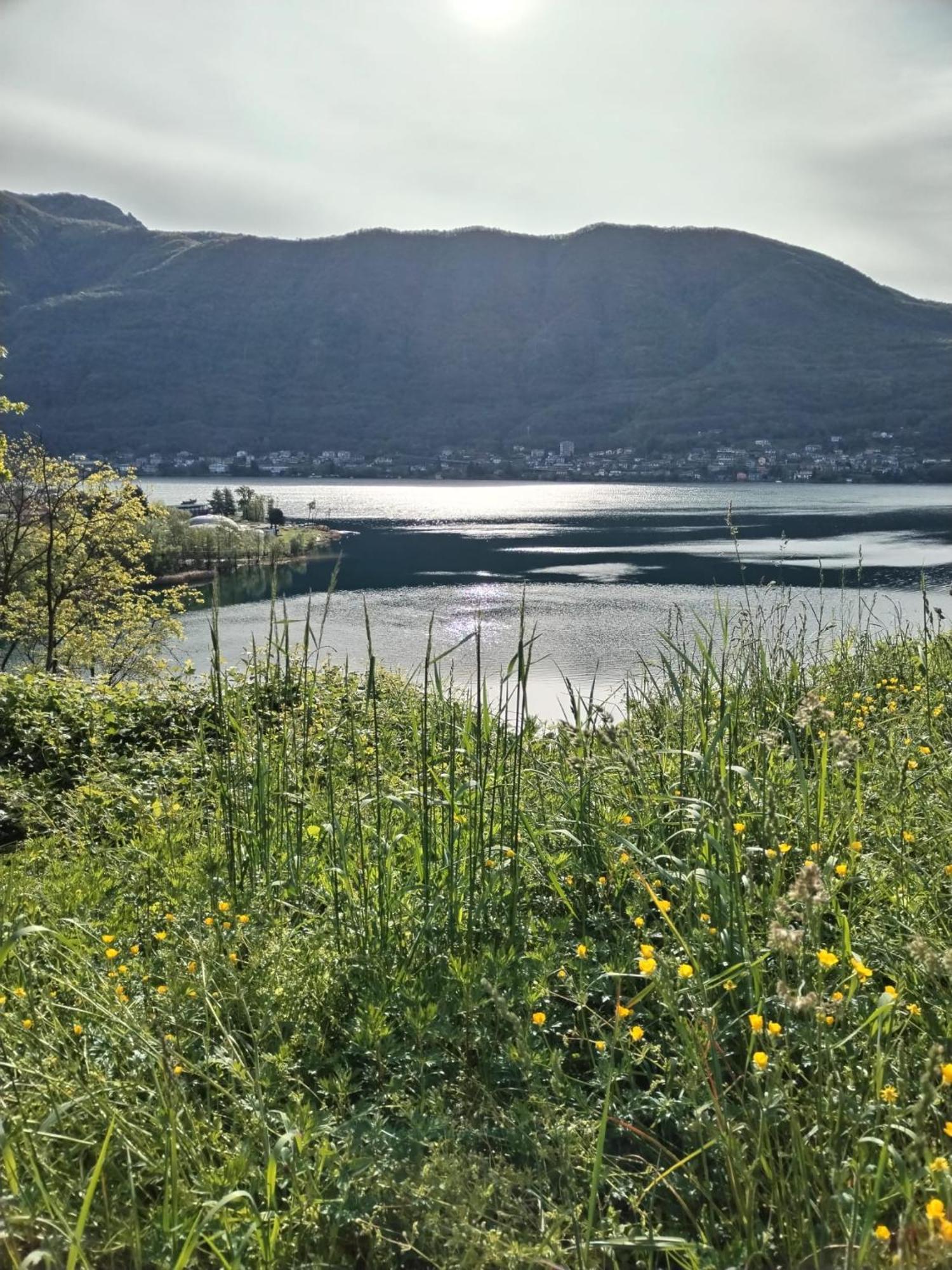 Un Balcone Sul Lago Omegna Dış mekan fotoğraf