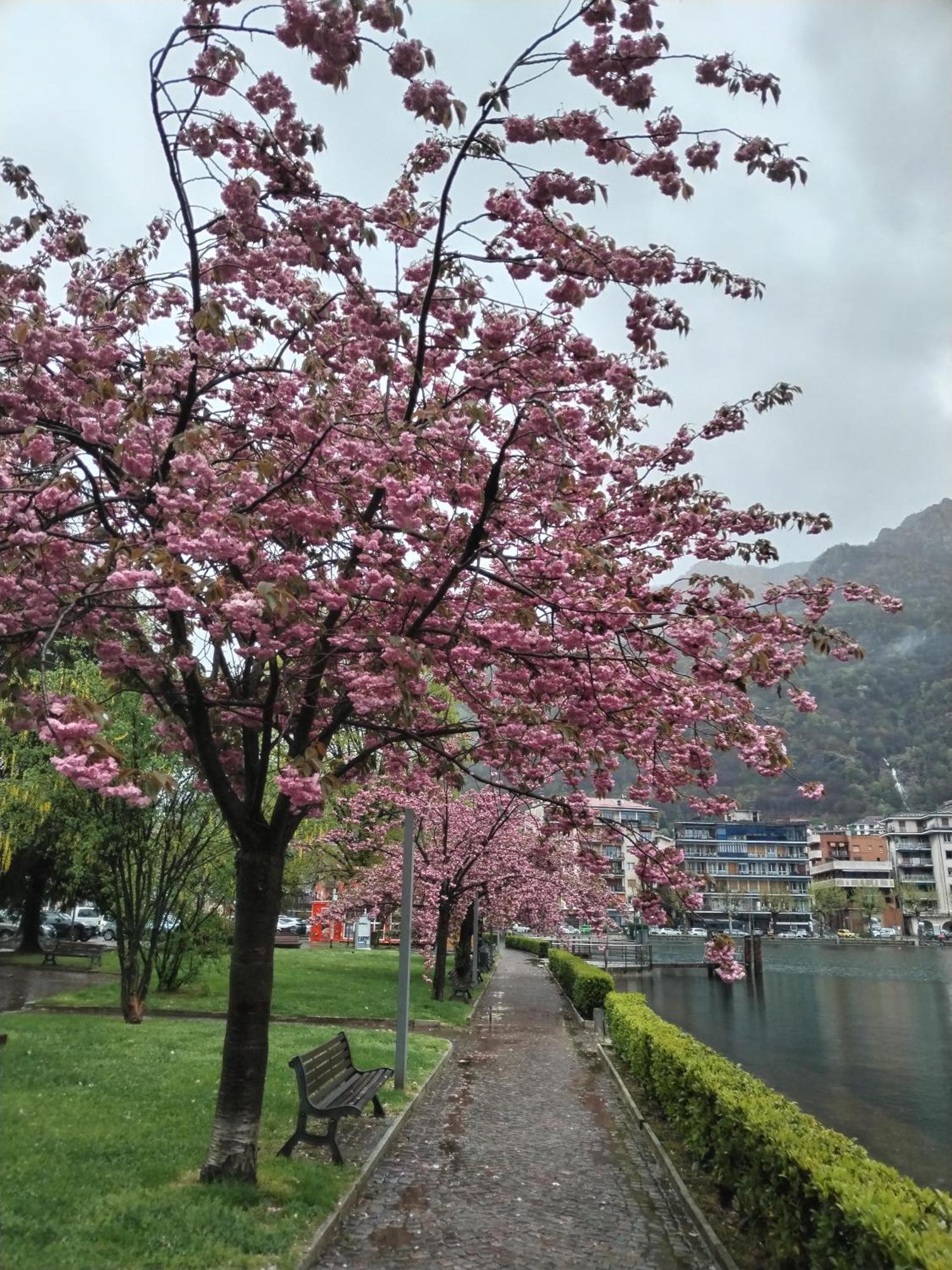 Un Balcone Sul Lago Omegna Dış mekan fotoğraf