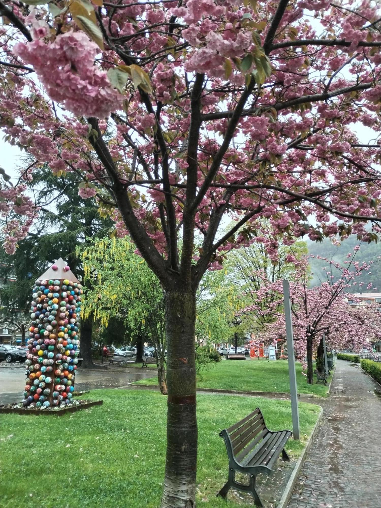 Un Balcone Sul Lago Omegna Dış mekan fotoğraf