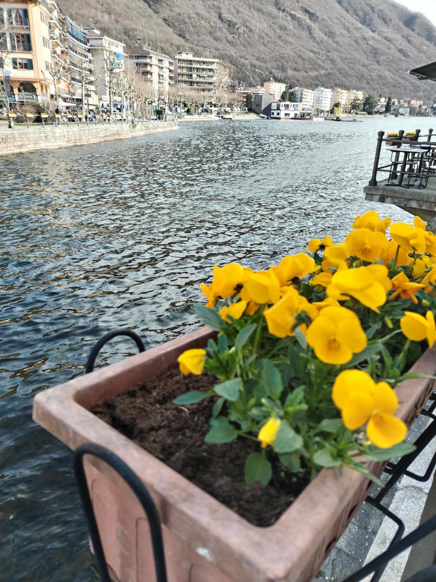 Un Balcone Sul Lago Omegna Dış mekan fotoğraf